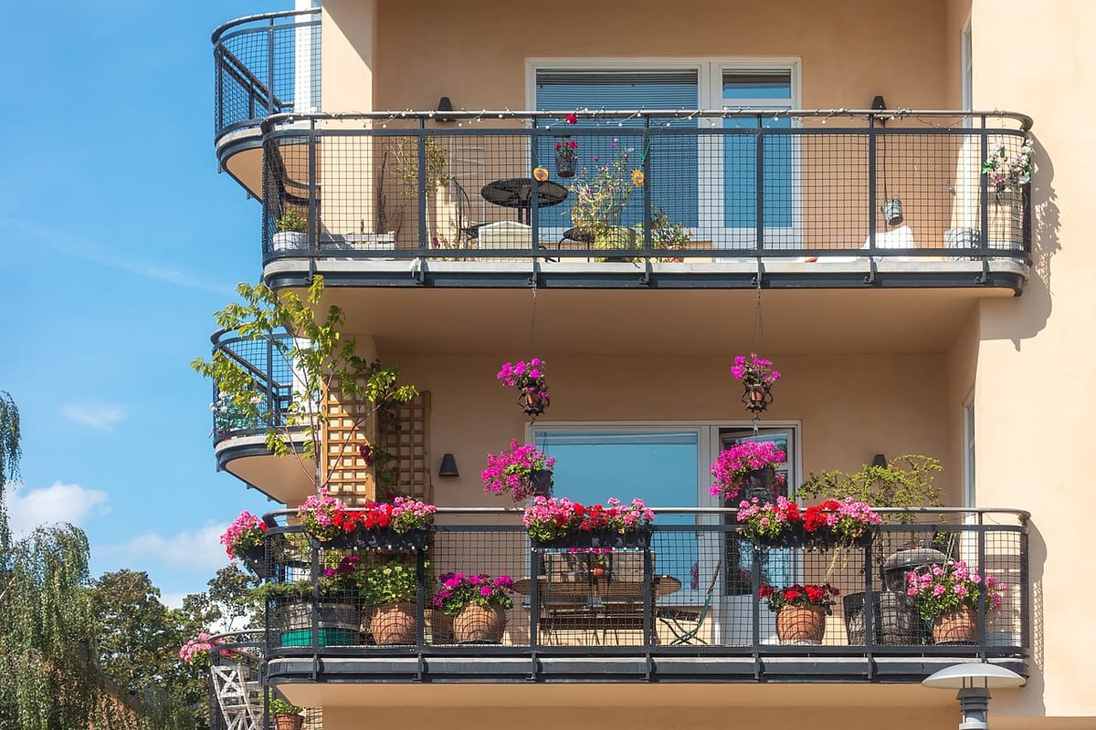 Apartment balcony garden with railing planters, a trellised cucumber, and hanging flower baskets