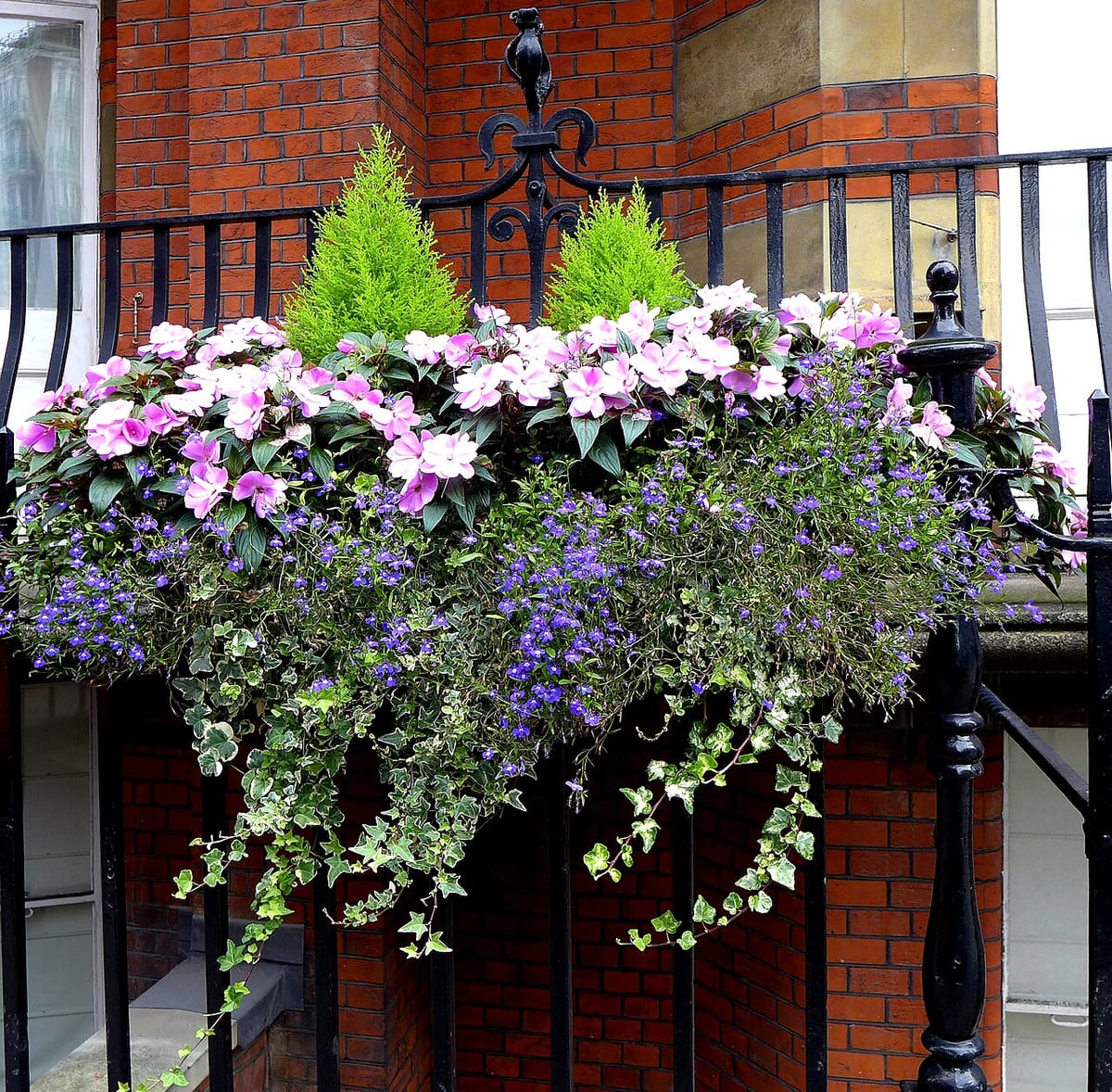 Patio container garden with tomato, lettuce, basil, and marigolds growing in assorted pots