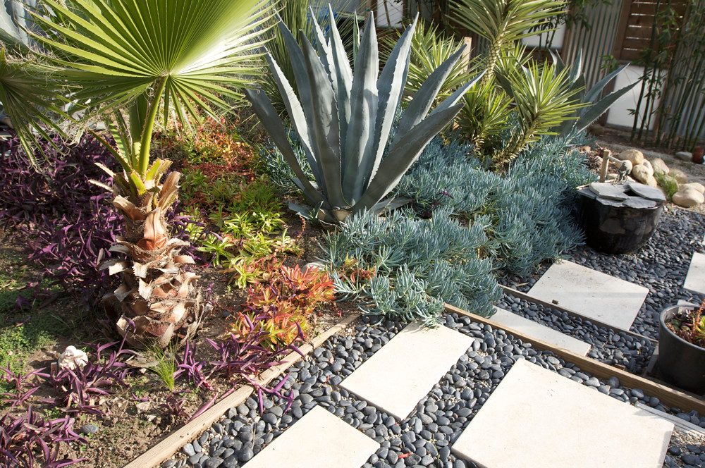 Drought-tolerant landscaping with ornamental grasses, gravel paths, and native flowering perennials