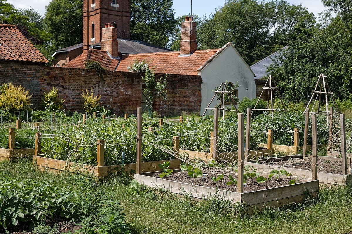 Cedar raised garden bed under construction with drill, level, and wheelbarrow of soil