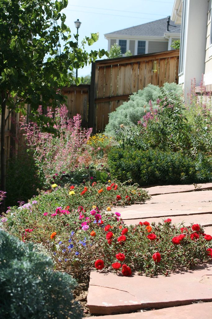 Small backyard garden with layered raised beds, a vertical trellis, and a compact seating area